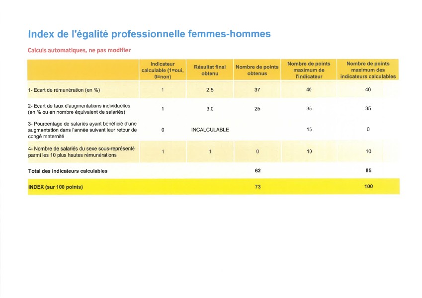 VIRY-ACML : Index égalité H/F 2025