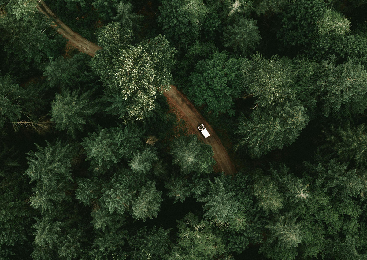 Woodland Trust