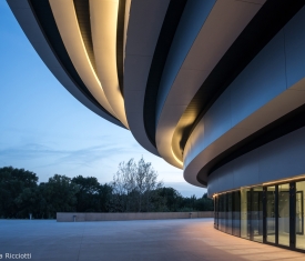 ARENA - BAC_0920 © Lisa Ricciotti copie.jpg