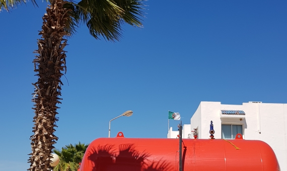 20190425_151459.jpg