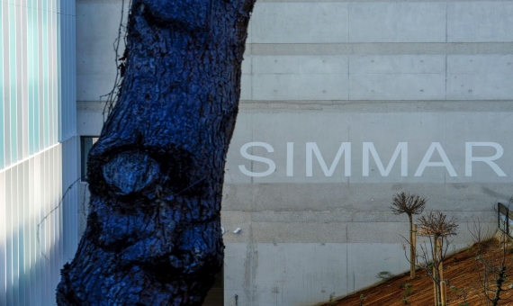 SIMMAR(1).jpg