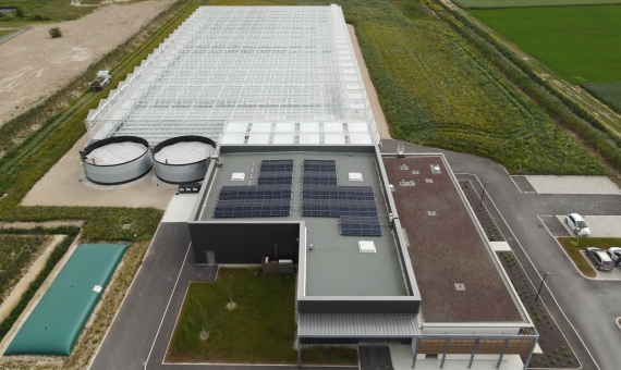 Serre bioclimatique à Oger (51)