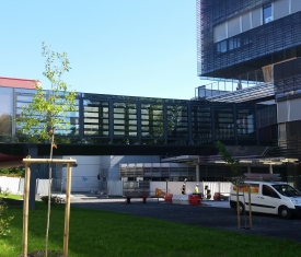neurocampus