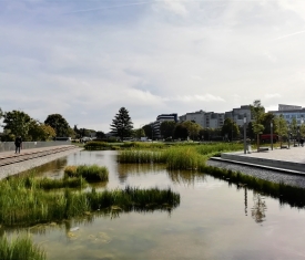 Bassin des nouilles Noisy le grand razel bec travaux