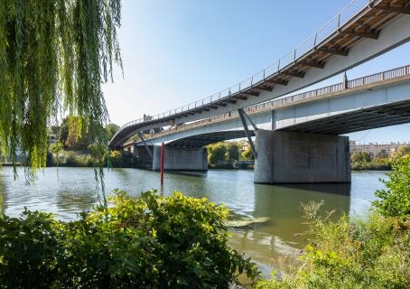 Passerelle de Limay avec de la végétation en premier plan