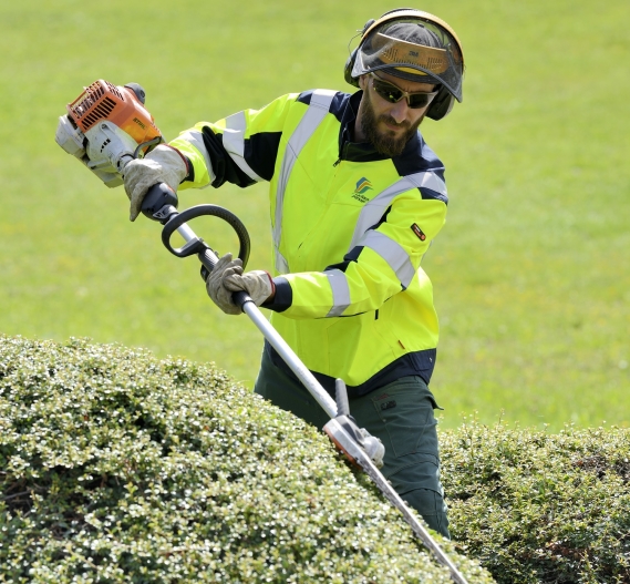 Elagueur vue de face - portrait Lachaux Paysage