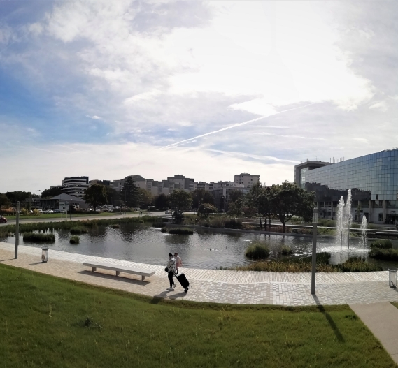 Bassin des nouilles Noisy le grand razel bec travaux