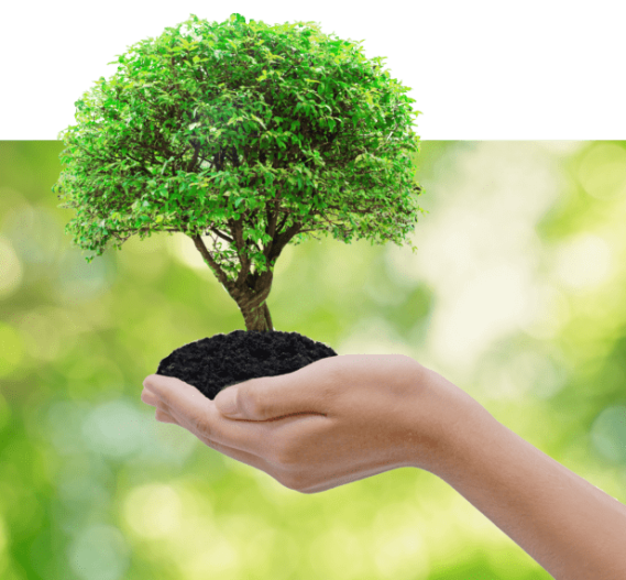 Lachaux-Paysage_HP_Pholosophie-768x571