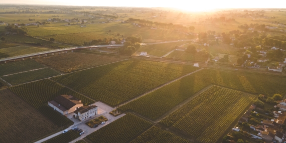 Chateau_Fayat_aerien