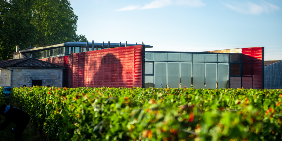 Château La Dominique