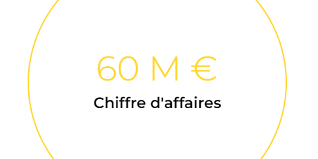 60 M € Chiffre d'affaires