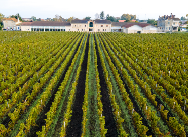 Château Clément Pichon