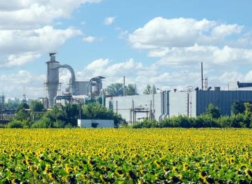 Un champ de tournesols en premier plan avec une usine en arrière-plan.
