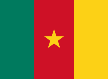 Drapeau Cameroun