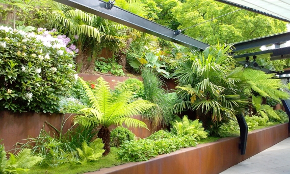plante 2