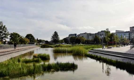 Bassin des nouilles Noisy le grand razel bec travaux