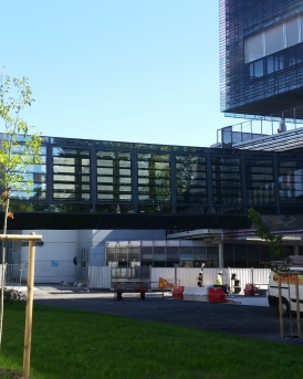 neurocampus