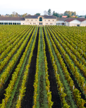Château Clément Pichon