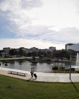 Bassin des nouilles Noisy le grand razel bec travaux