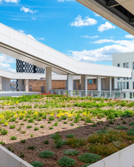 Campus Condorcet 1