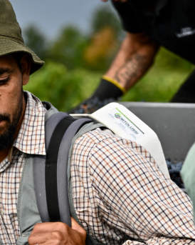 Vendange vignobles FAYAT