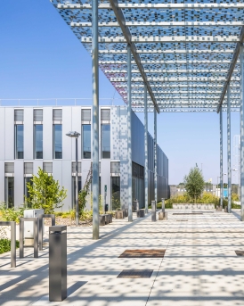 campus