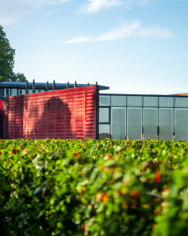 Château La Dominique