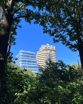 Emblem Lille Nord France Constructions.PNG