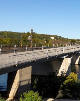 Vu de la passerelle de l'île aux dames
