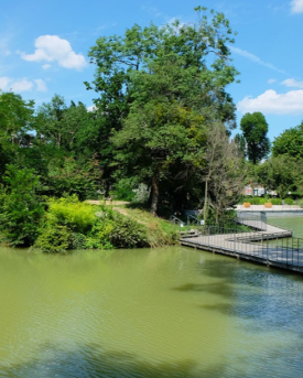Parc Cambacérès 2