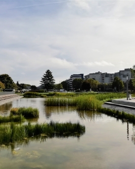 Bassin des nouilles Noisy le grand razel bec travaux