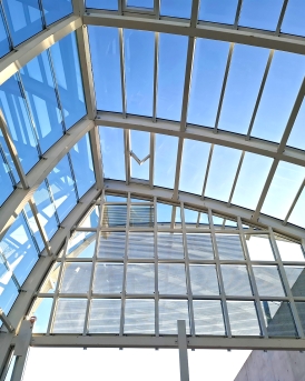 20250305_083554.jpg