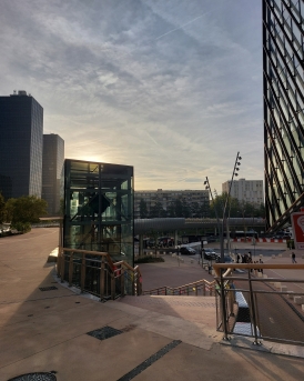 Rose de Cherbourg Razel-Bec la Défense