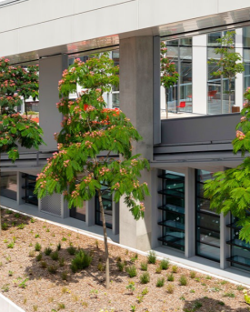 Campus Condorcet 2