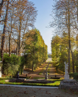 Domaine de Saint-Cloud 1