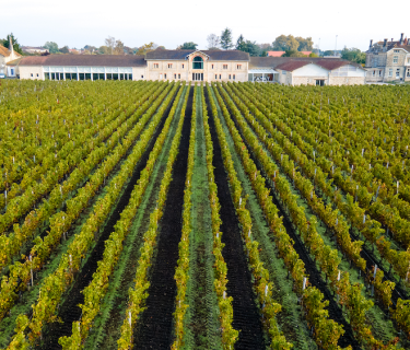 Château Clément Pichon