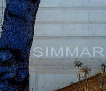 SIMMAR(1).jpg
