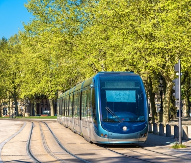 Tramway et arbres