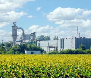 Un champ de tournesols en premier plan avec une usine en arrière-plan.