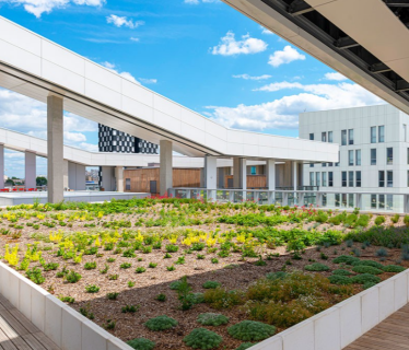 Campus Condorcet 1