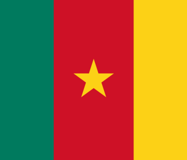 Drapeau Cameroun