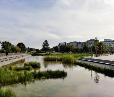 Bassin des nouilles Noisy le grand razel bec travaux