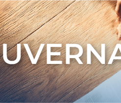 GOUVERNANCE - BANDEAU.png
