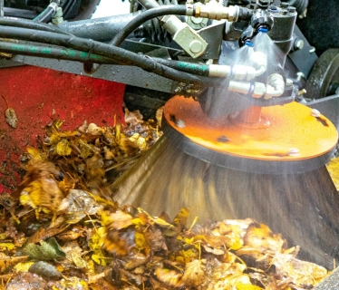 Leafing Season
