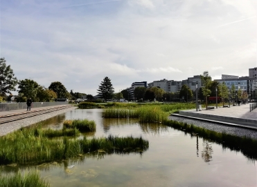 Bassin des nouilles Noisy le grand razel bec travaux