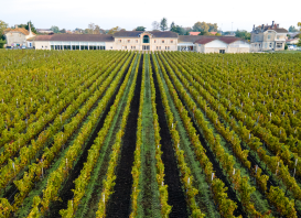 Château Clément Pichon