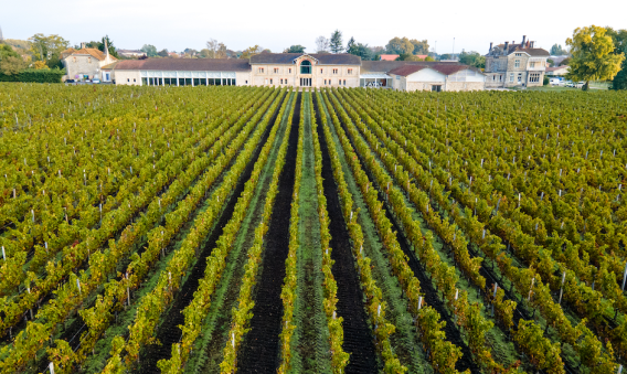 Château Clément Pichon