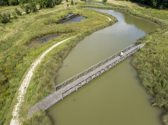 Coupvray lachaux paysage travaux