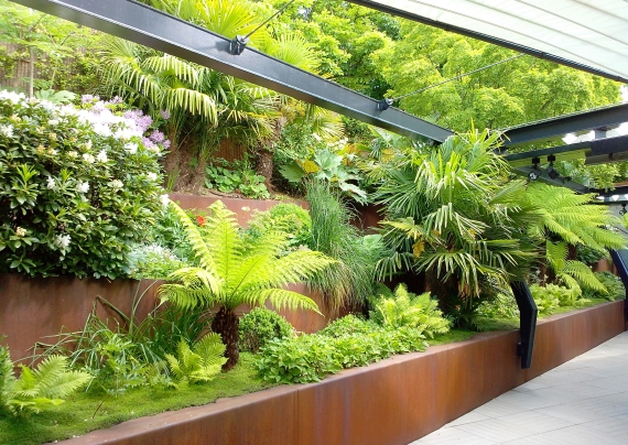 plante 2