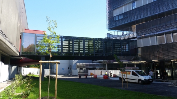 neurocampus